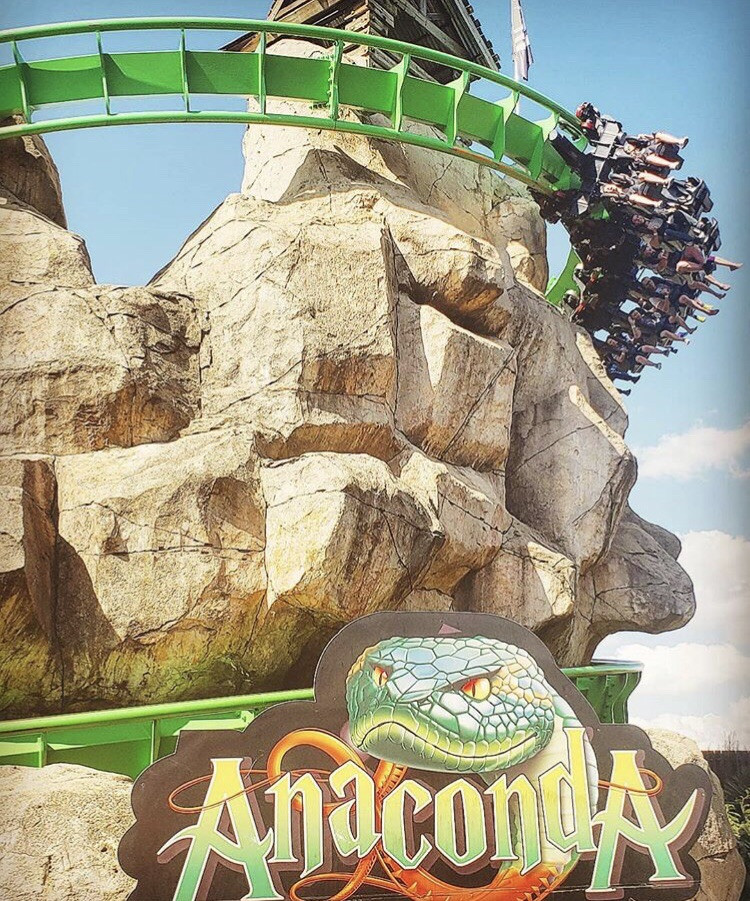 fruit case slot for money