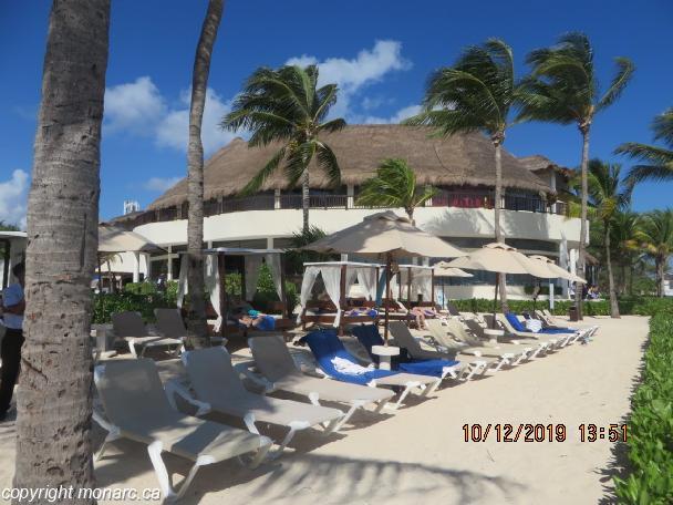 mr bet casino download for android