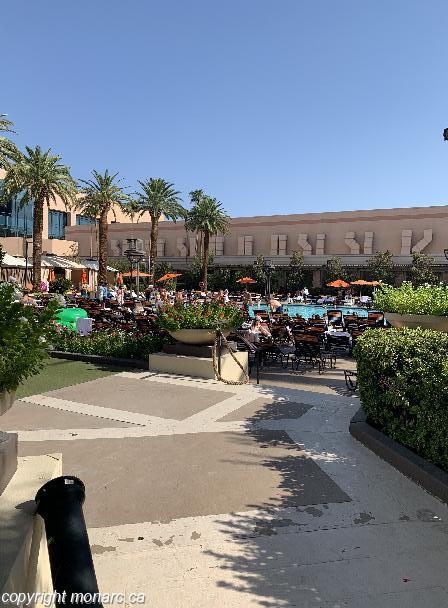 quatro casino app download