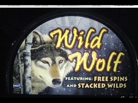 télécharger l'application Mr Bet