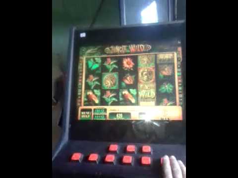 NAAMEEE_Connexion en direct CATTT