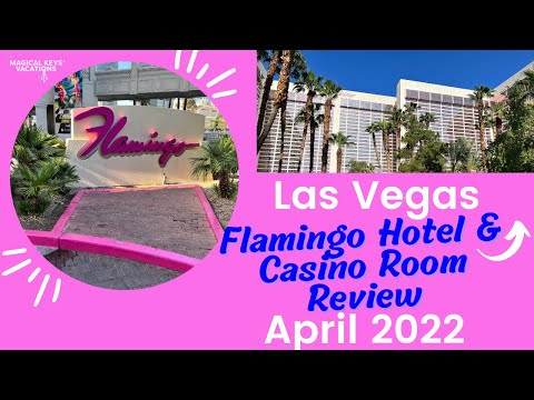 7 casino no deposit bonus