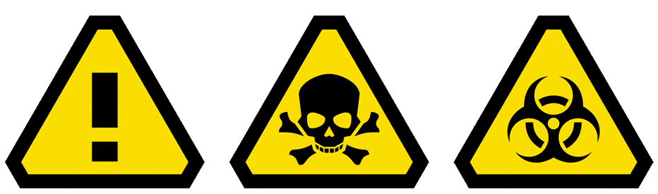 top 5 online casino nz