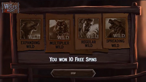 spinsy connexion en ligne