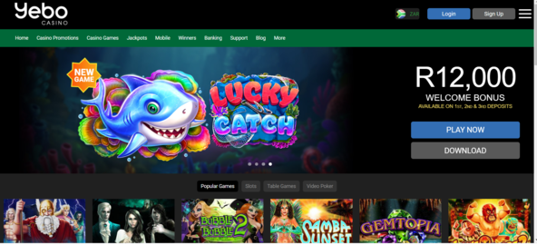 casino spin $100 free spins