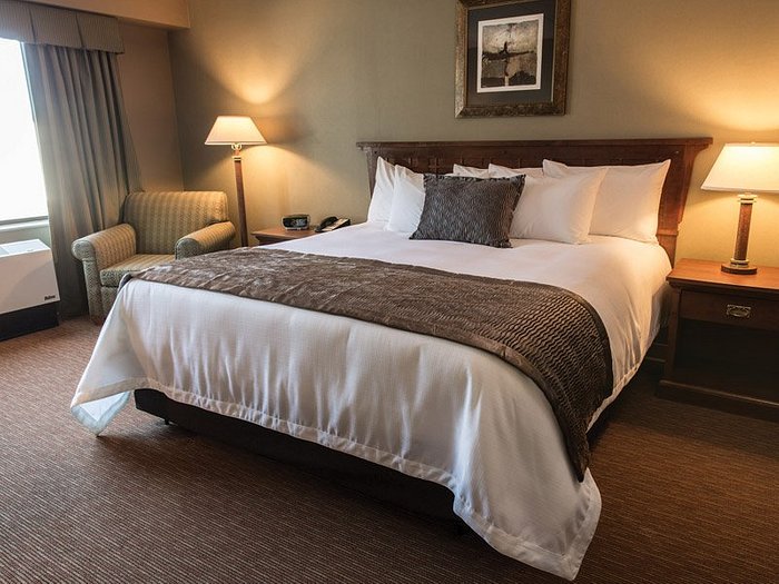 Thunderstruck II Casino