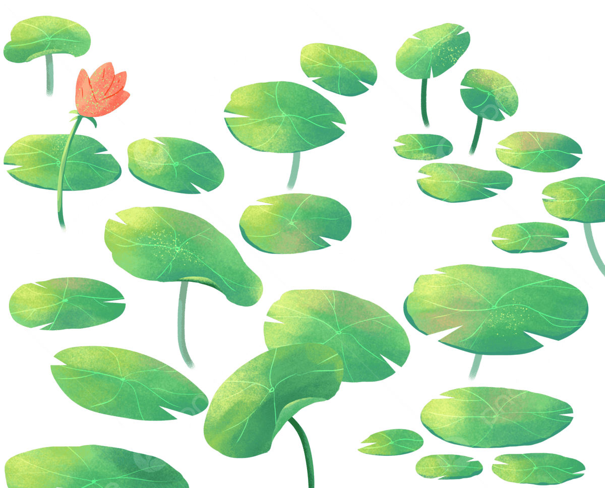 лото клуб бинго 37