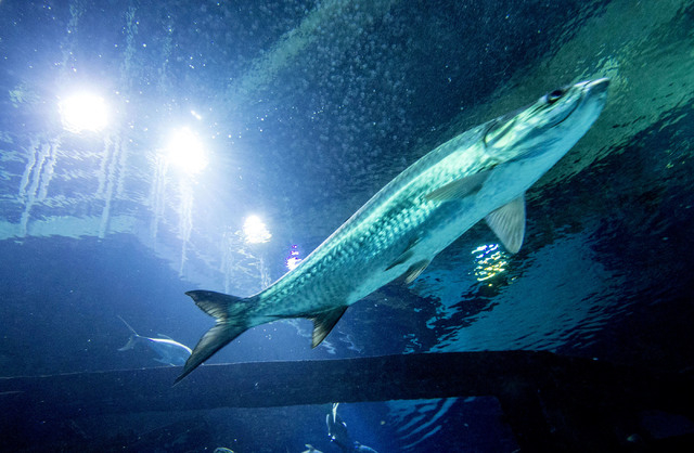 no deposit casino bonus uk 2020