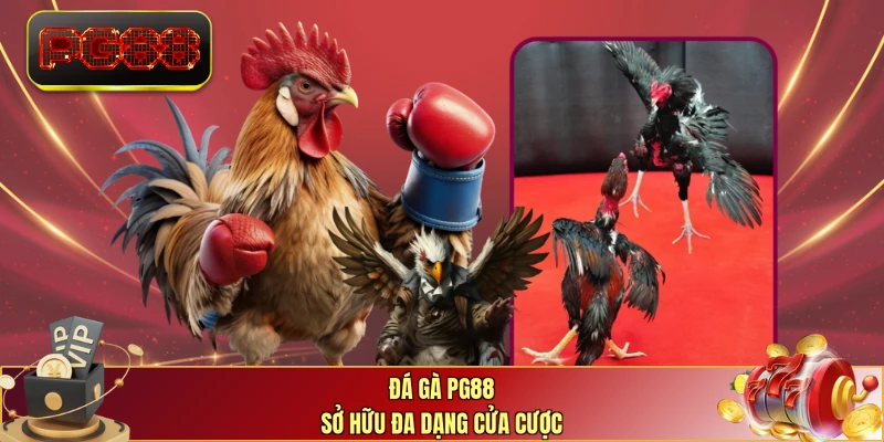 Đá gà PG88 sở hữu đa dạng cửa cược