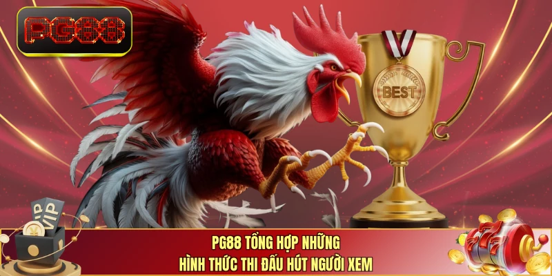 PG88 tổng hợp những hình thức thi đấu hút người xem